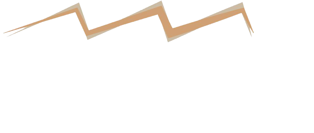 Logo La Couvinoise